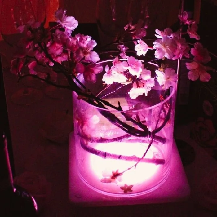 Efflorescence