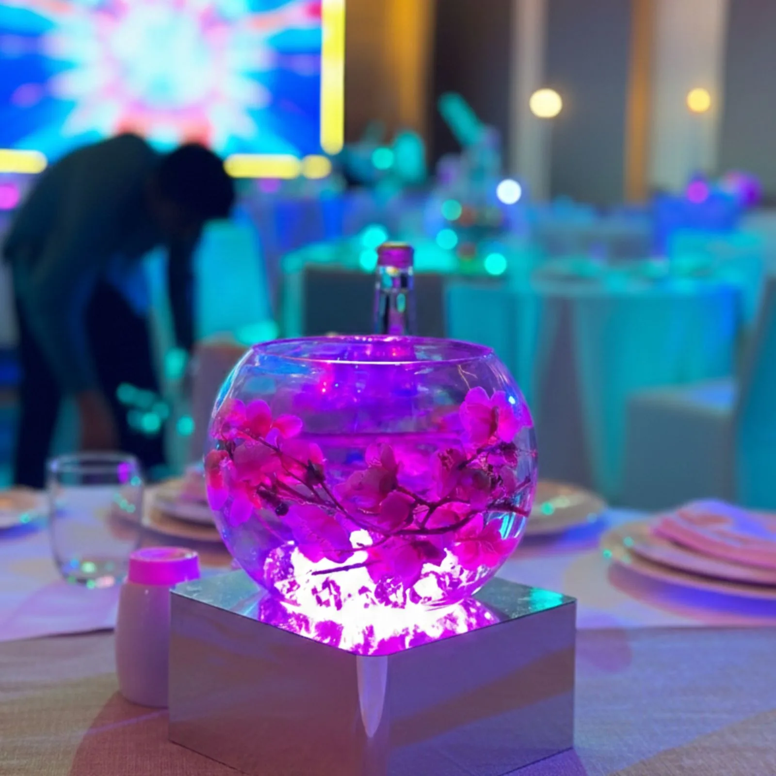Fish Bowl